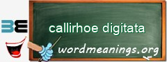 WordMeaning blackboard for callirhoe digitata